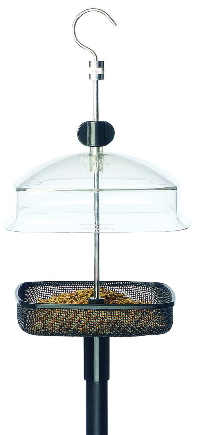 MEALWORM FEEDER