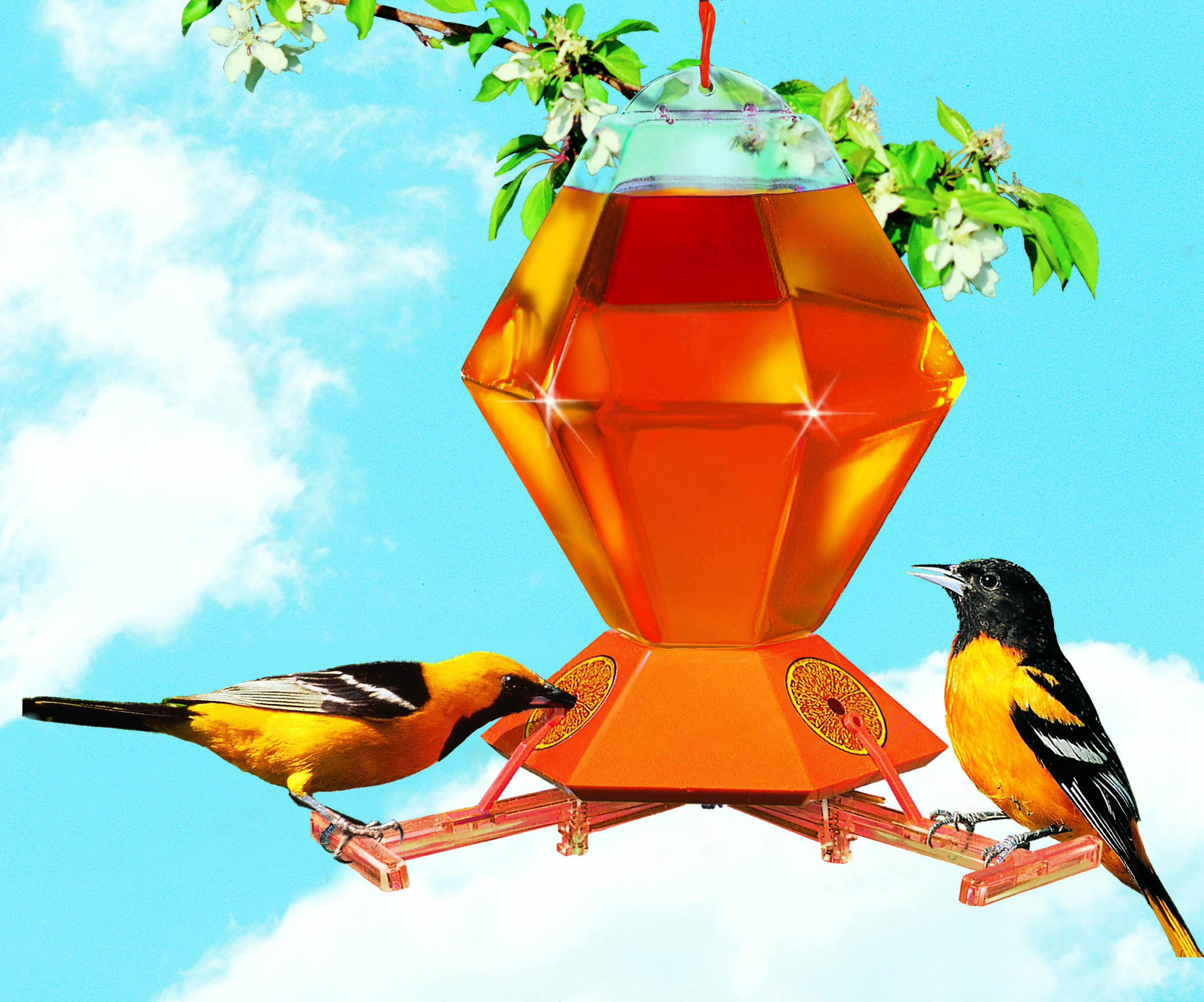 Deluxe Oriole Feeder 36oz.