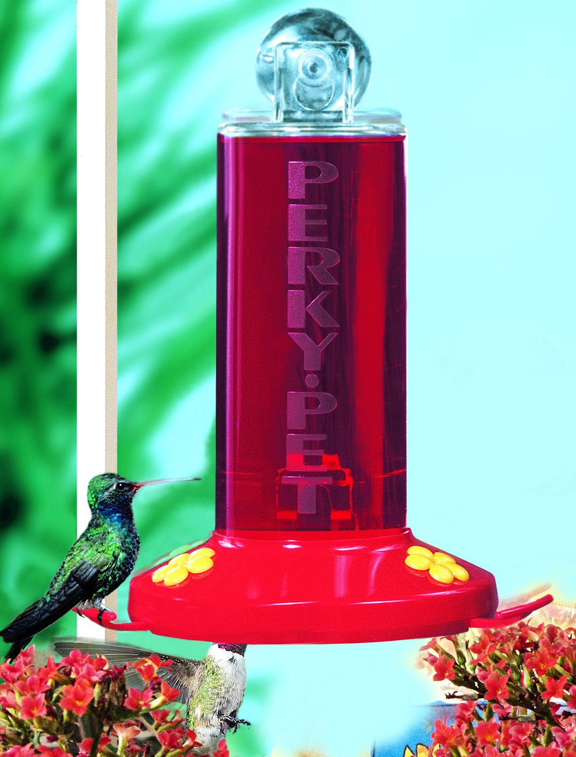 Window Mount Hummingbird Feeder