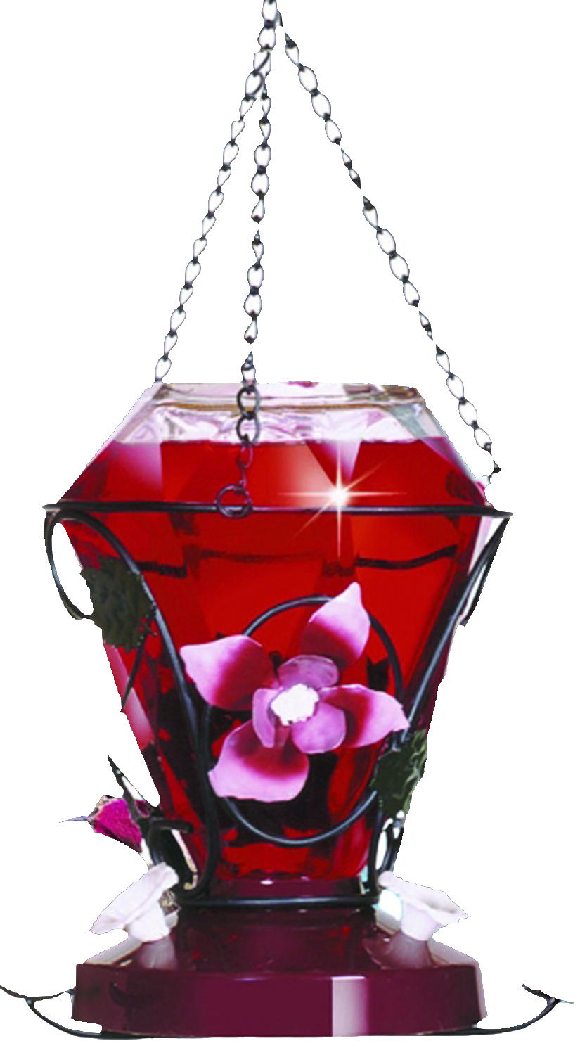 Colibri Blossom Edition Hummingbird Feeder