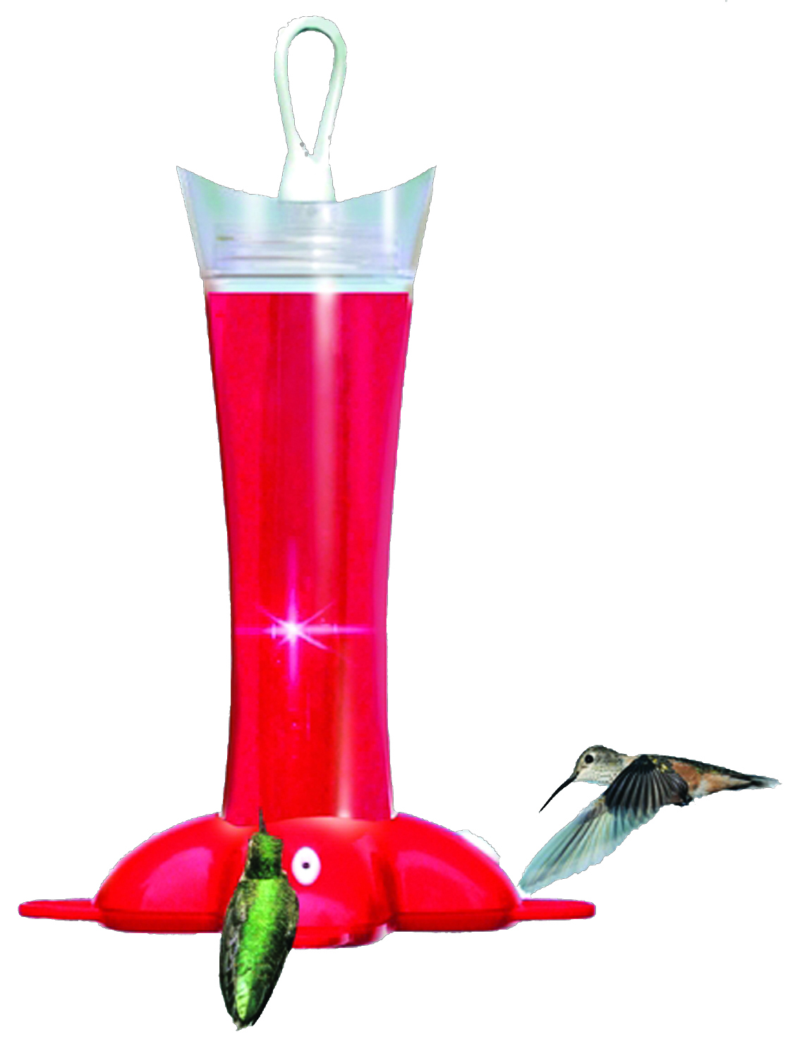 Glass Hummingbird Feeder