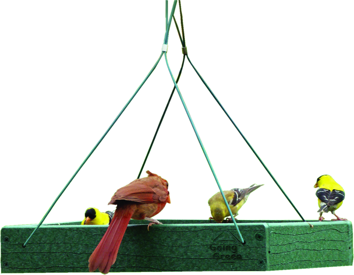 GOING GREEN PLATFORM FEEDER
