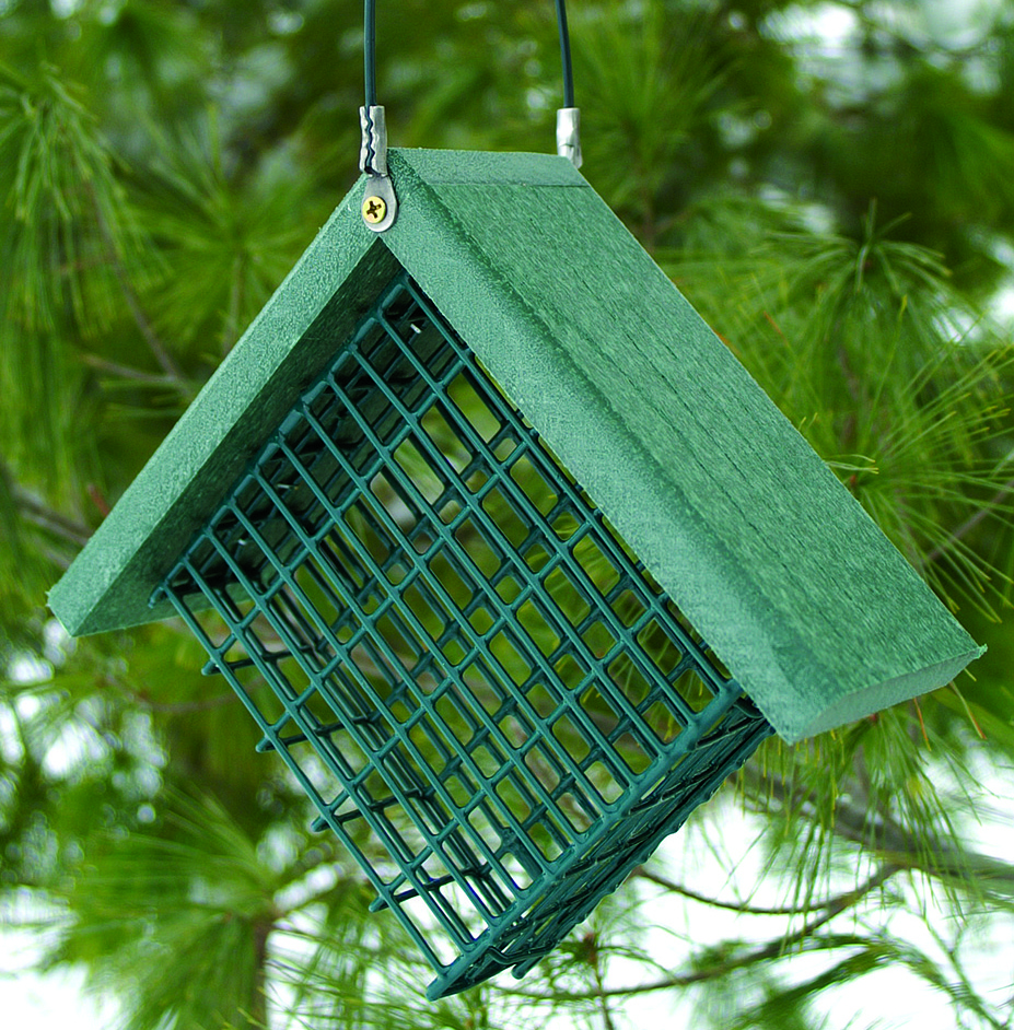 GOING GREEN SUET FEEDER