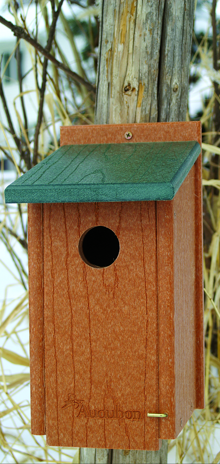 GOING GREEN BLUEBIRD HOUSE