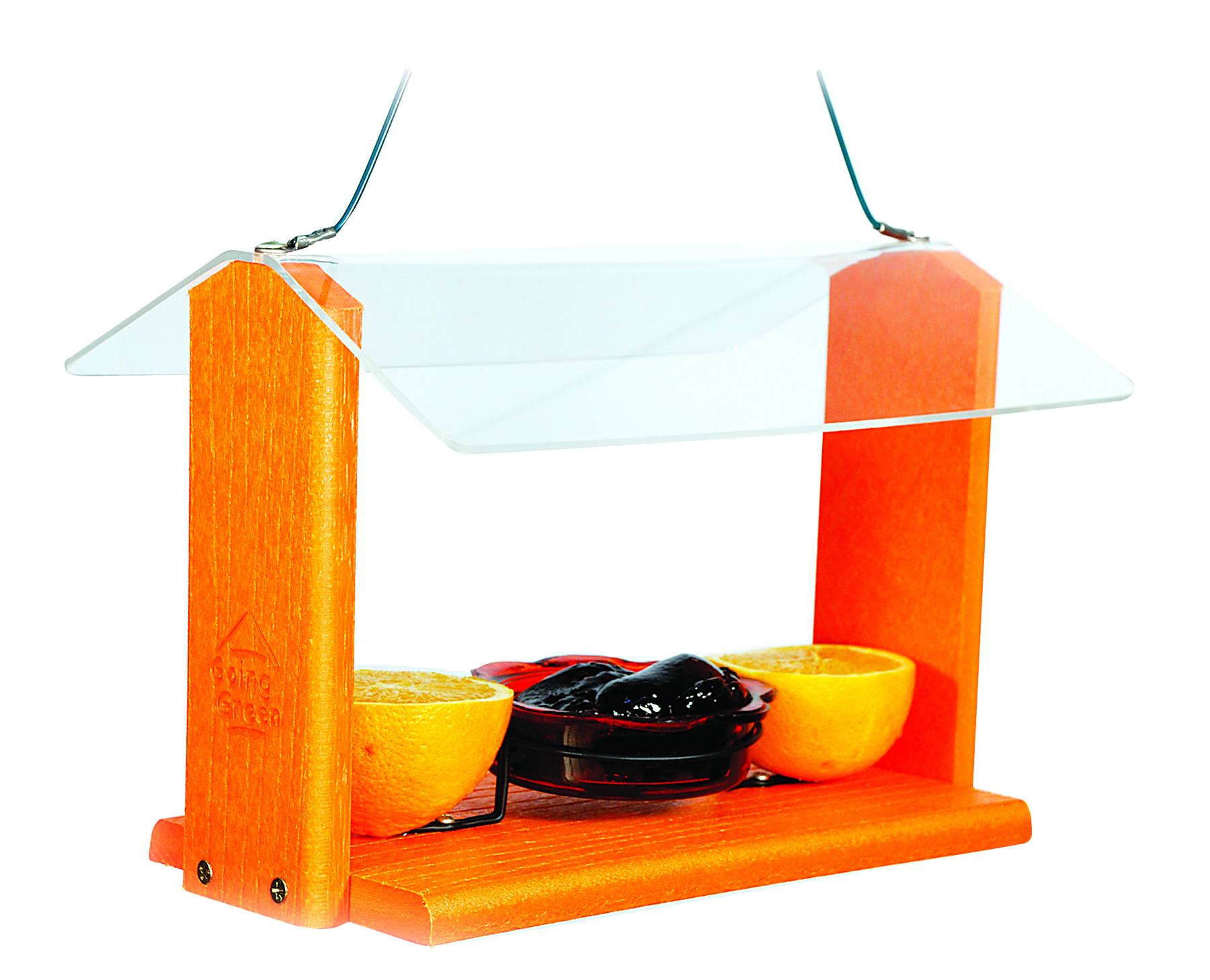 GOING GREEN ORIOLE AND BLUEBIRD FEEDER