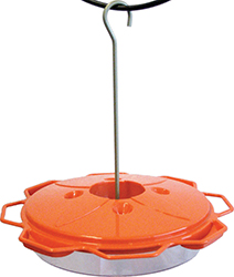 Classic Oriole Feeder