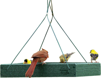 GOING GREEN PLATFORM FEEDER