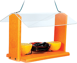GOING GREEN ORIOLE AND BLUEBIRD FEEDER