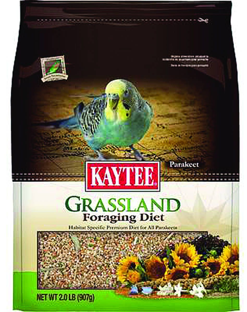 FORAGING DIET GRASSLAND - PARAKEET