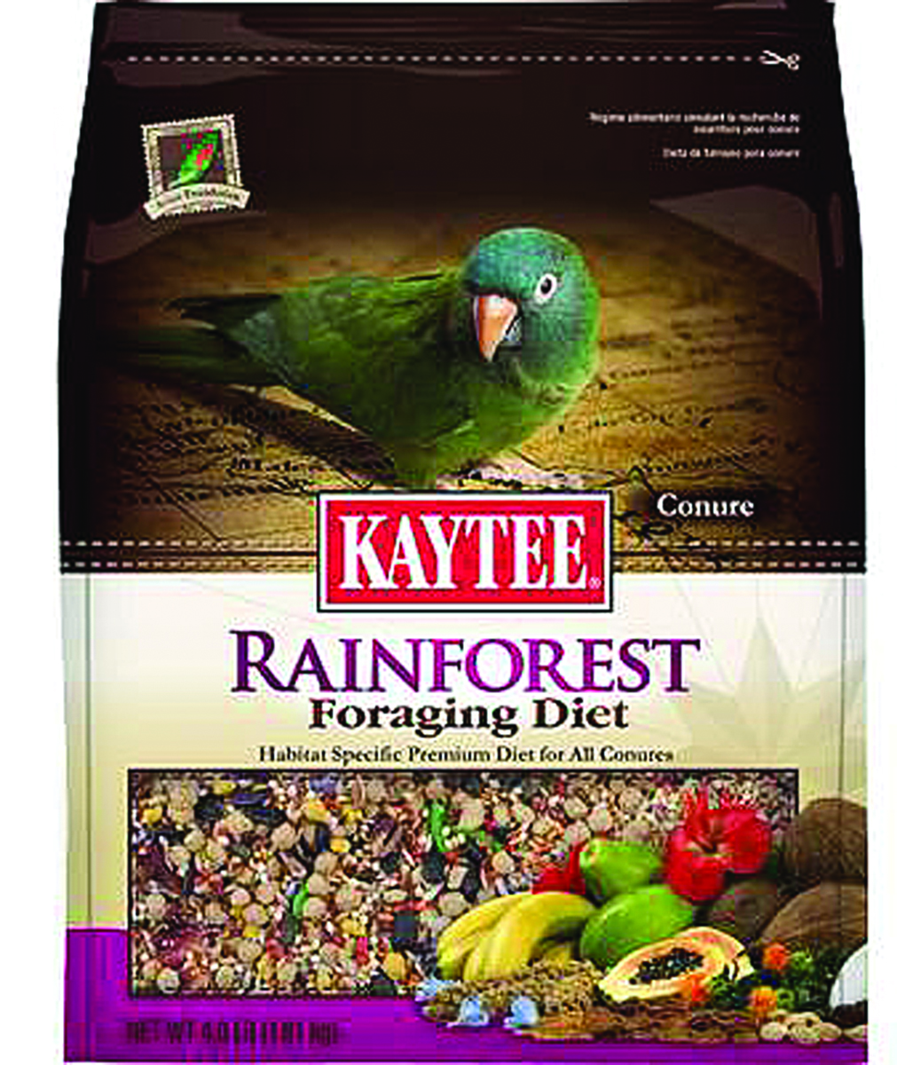 FORAGING DIET RAINFOREST- CONURE