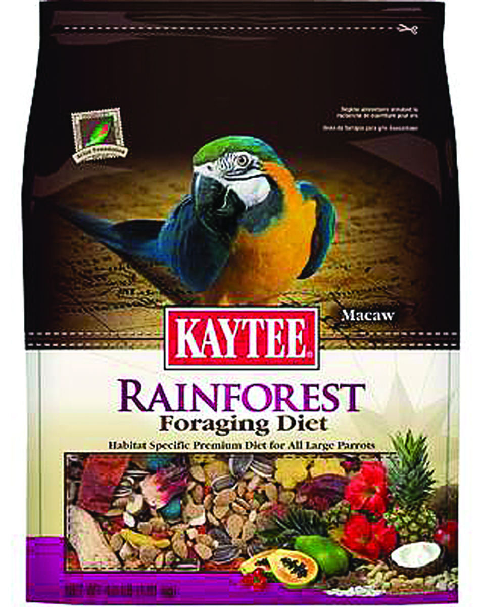 FORAGING DIET RAINFOREST - MACAW