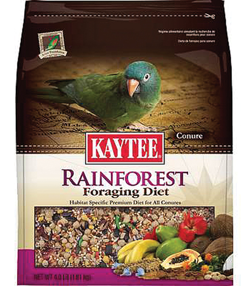 FORAGING DIET RAINFOREST- CONURE