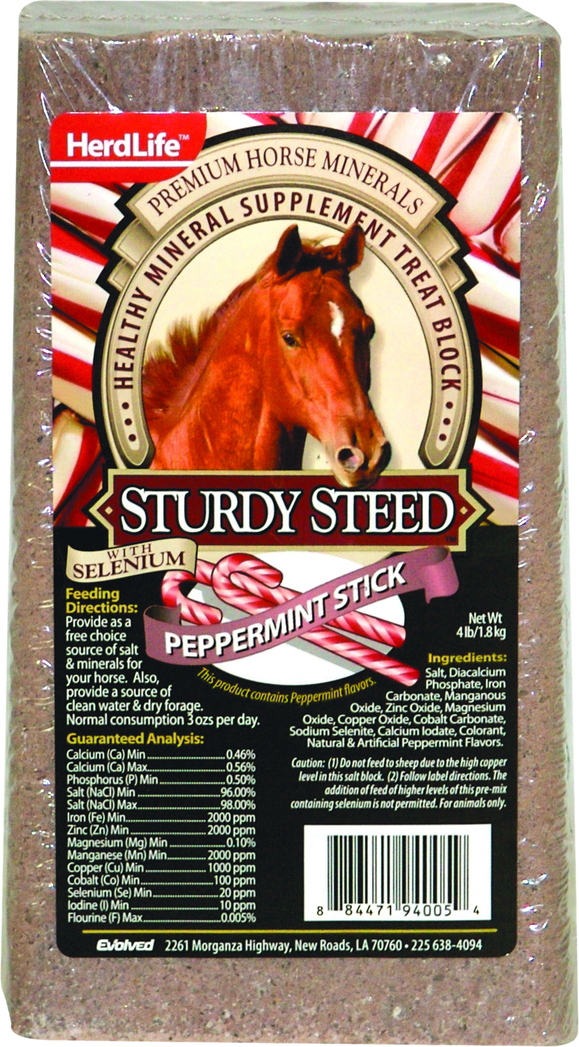 STURDY STEED HORSE BLOCK