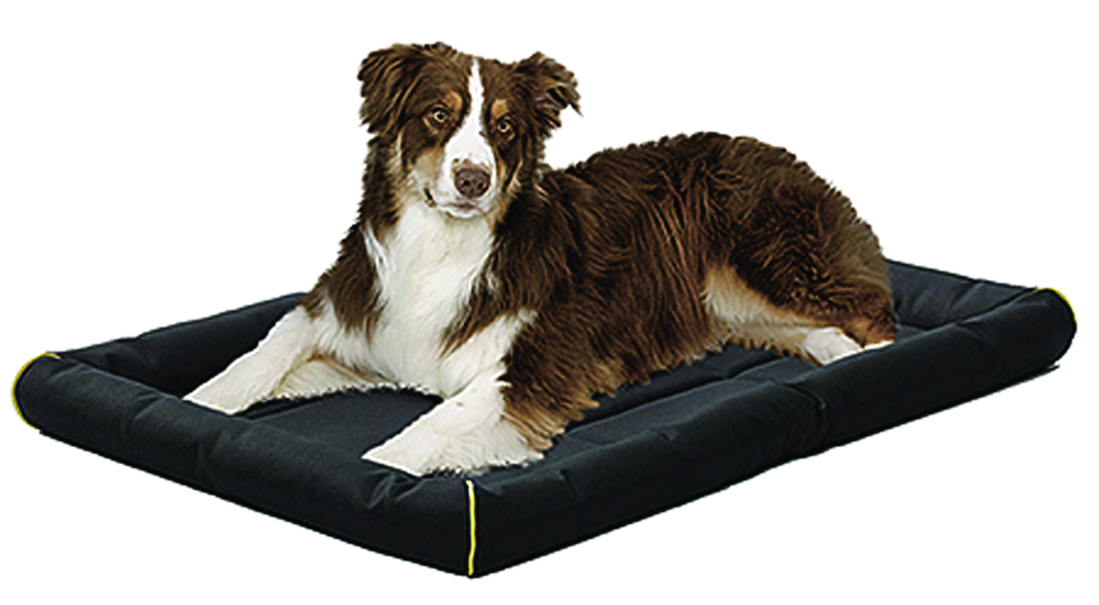 QUIET TIME MAXX ULTRA-RUGGED PET BED