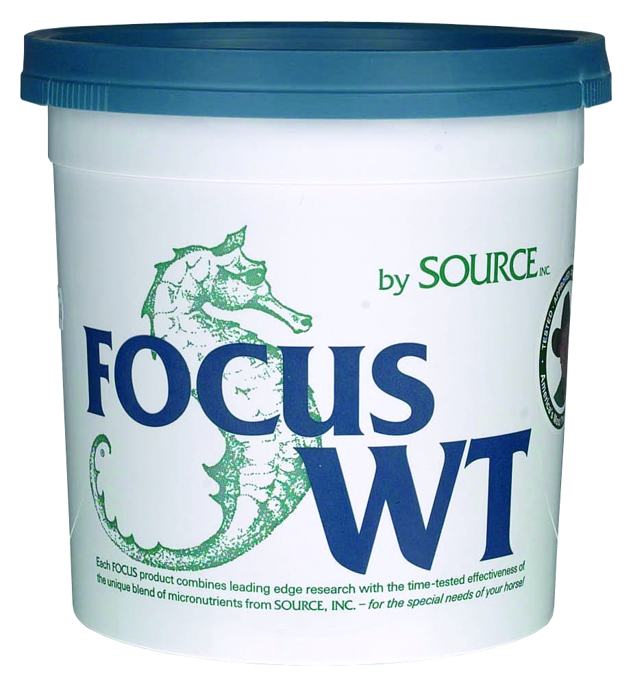 Focus WT - 3.5lbs