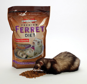 Senior Ferret Food Diet 4#