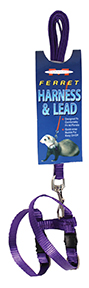 Ferret Harness/Lead Set-Purp