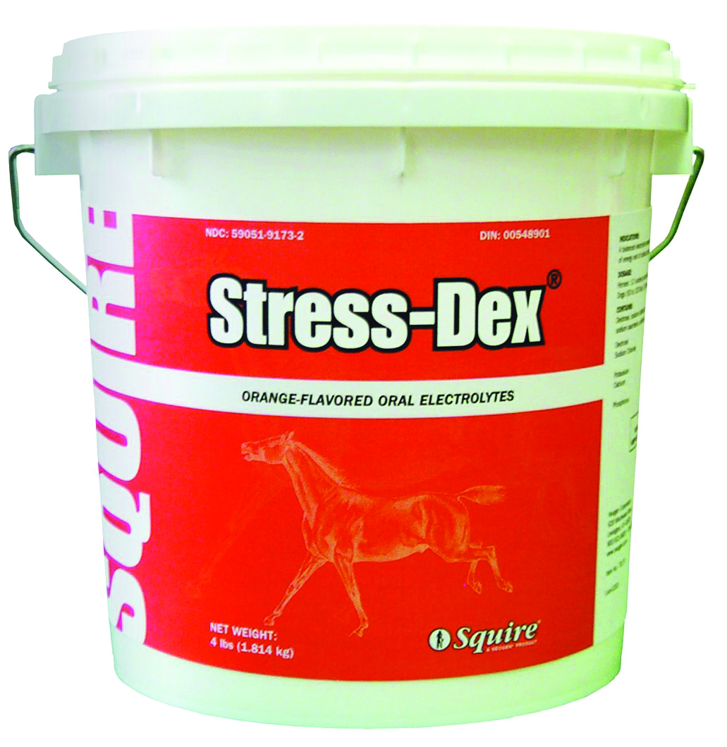 STRESS-DEX ELECTROLYTE POWDER