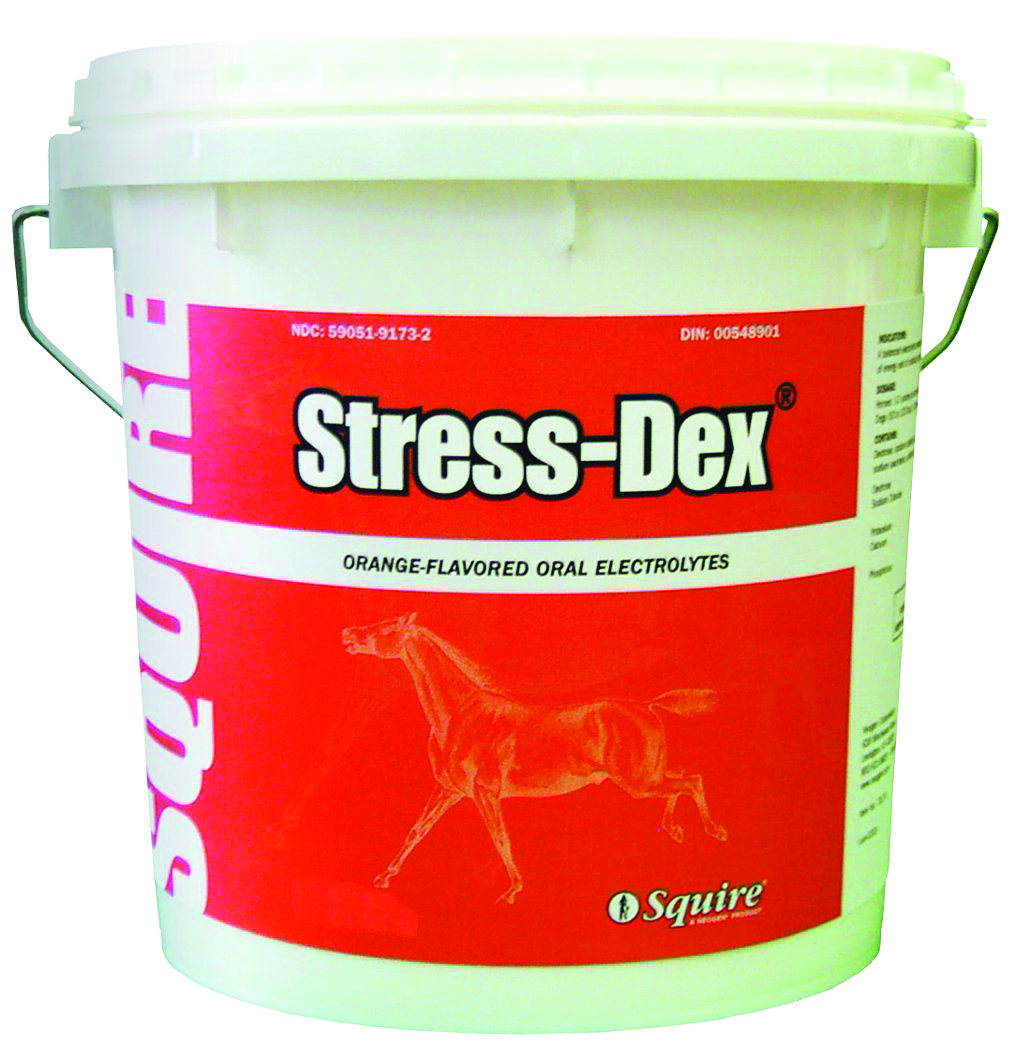 STRESS-DEX ELECTROLYTE POWDER