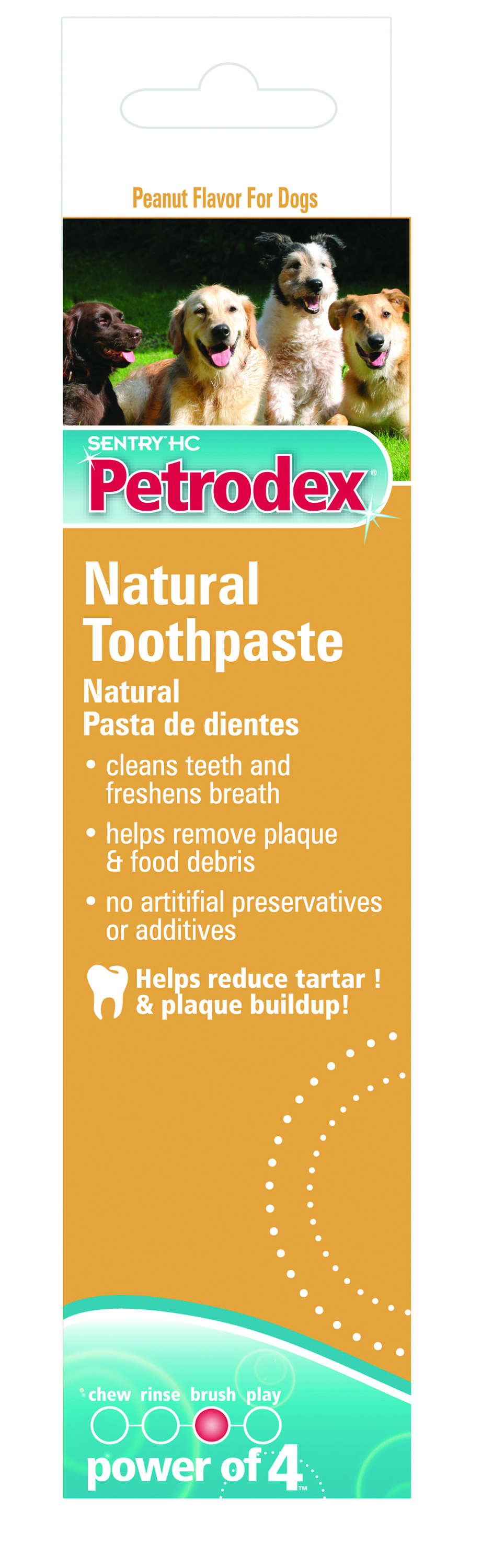 Natural Toothpaste/Toothbrush Dental Kit - Peanut Butter Flavor