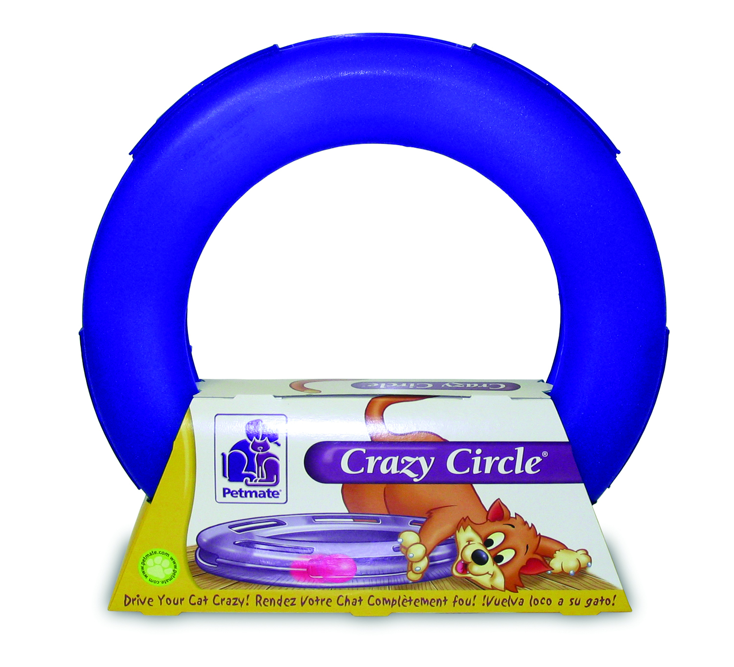 CRAZY CIRCLE CAT TOY