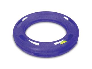 CRAZY CIRCLE CAT TOY