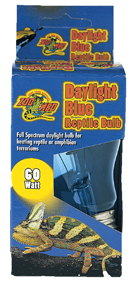Daylight Blue Bulb - 60W