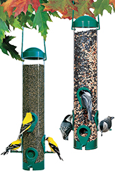 Any Seed Tube Feeder 2lbs