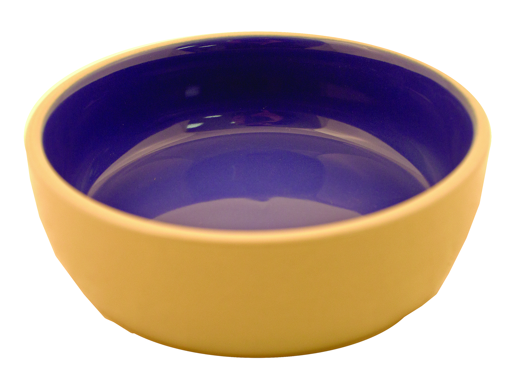 5x2 Ceramic Dog Bowl - Striped Design