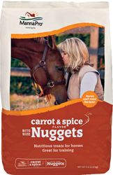 CARROT & SPICE NUGGETS