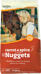 CARROT & SPICE NUGGETS