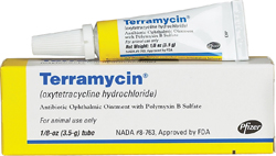 TERRAMYCIN OPTHALMIC OINTMENT