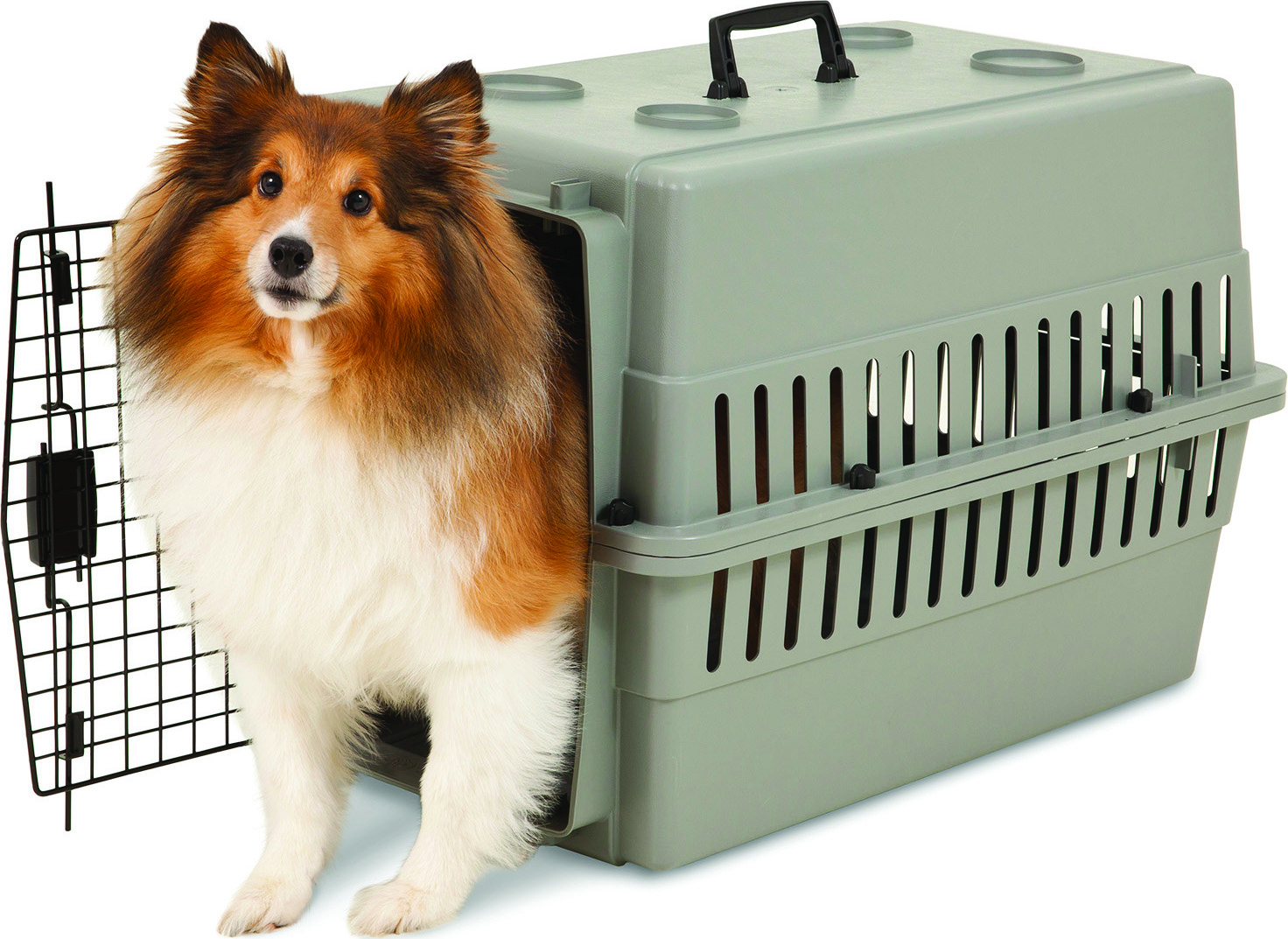 ASPENPET TRADITIONAL PLASTIC KENNEL