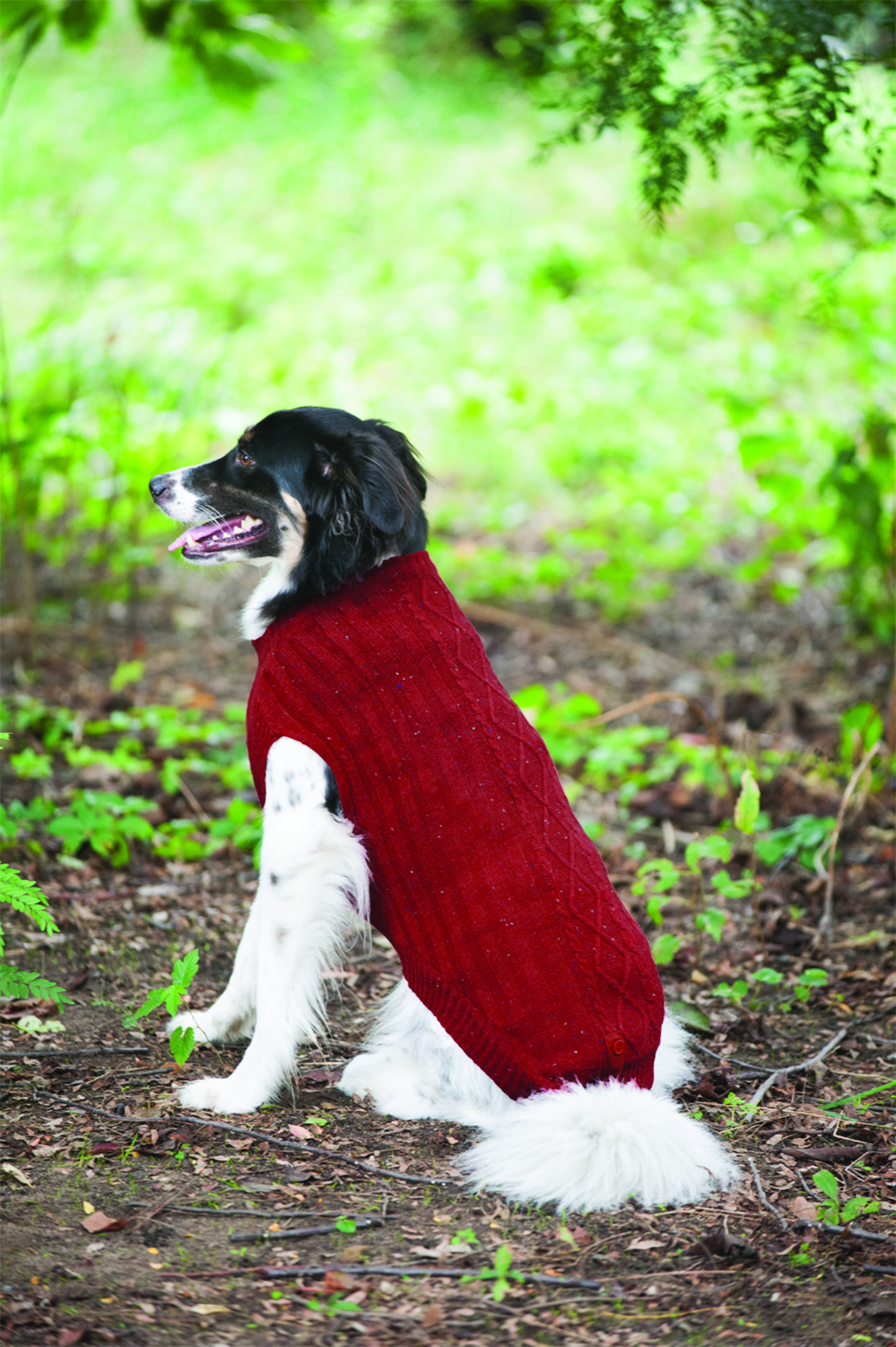 DONEGAL CABLE KNIT DOG SWEATER