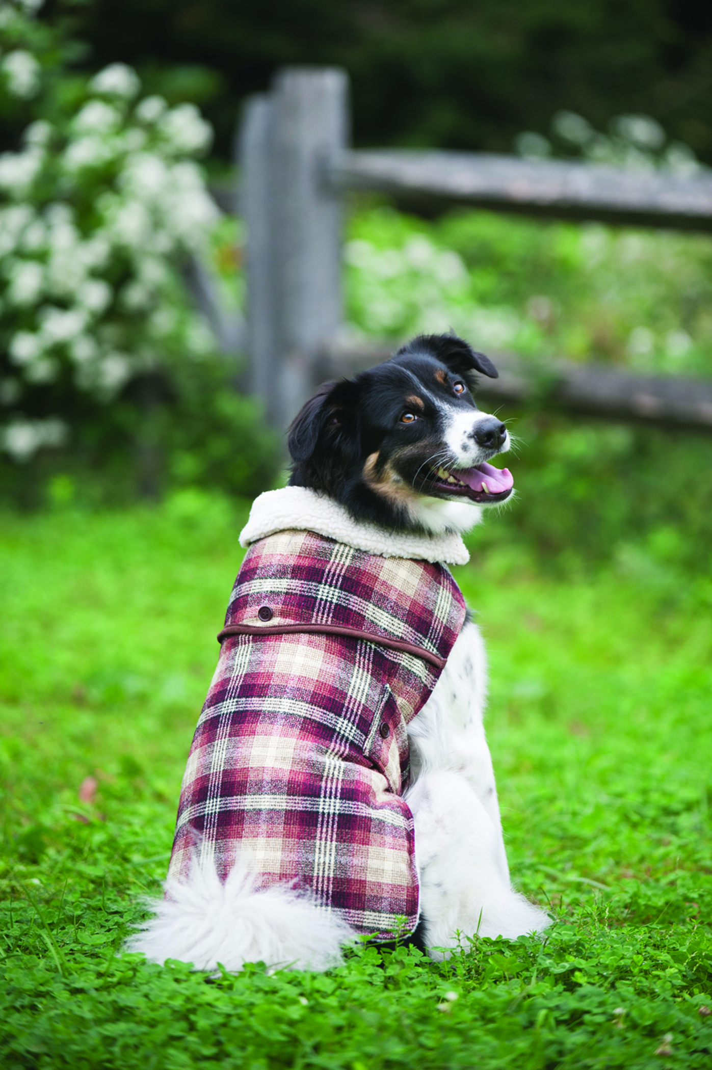 COUNTRY PLAID DOG COAT