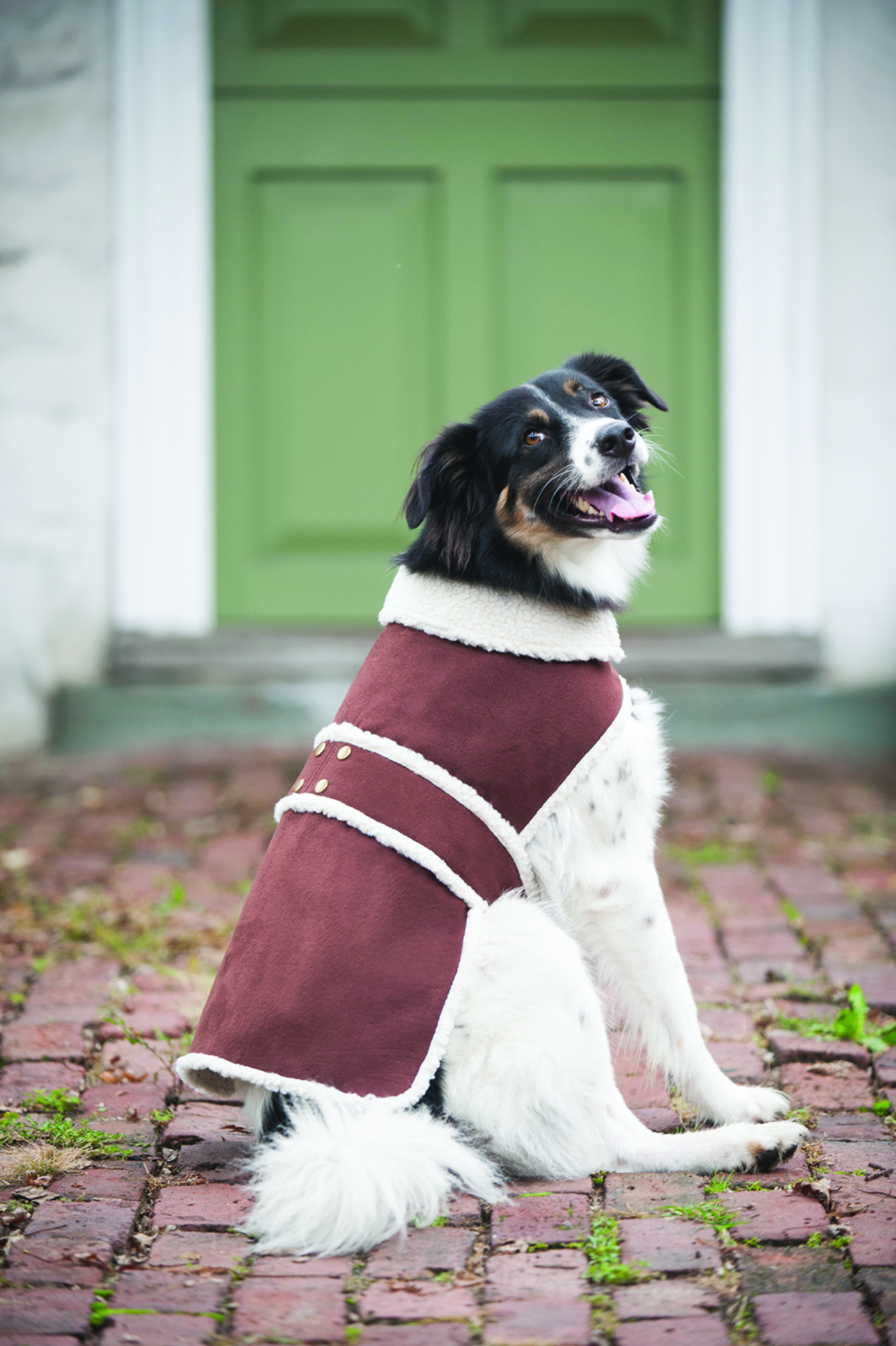 SHEARLING DOG COAT