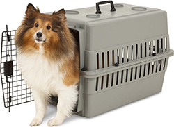 ASPENPET TRADITIONAL PLASTIC KENNEL