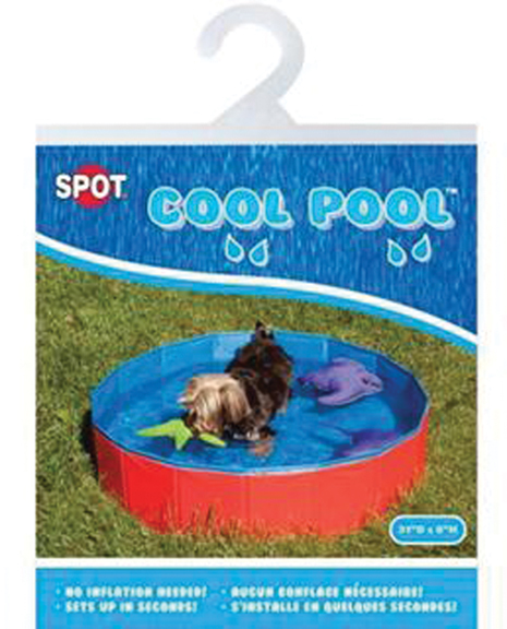 COOL POOL