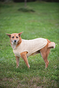DONEGAL CABLE KNIT DOG SWEATER