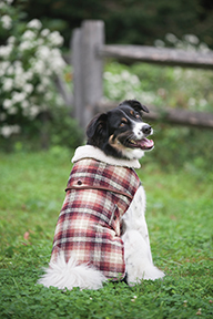 COUNTRY PLAID DOG COAT