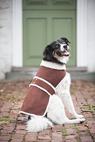 SHEARLING DOG COAT