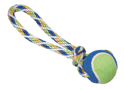 SPOT RAINBOW TWISTER TENNIS BALL TUG