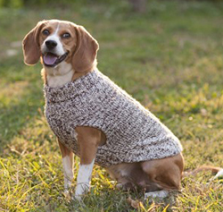 RUSTIC CABLE DOG SWEATER