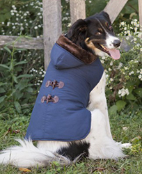 HOODED TOGGLE DOG COAT