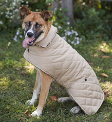 REVERSIBLE BARN DOG COAT