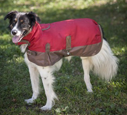 DOG BLANKET COAT