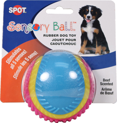 SENSORY BALL RUBBER DOG TOY