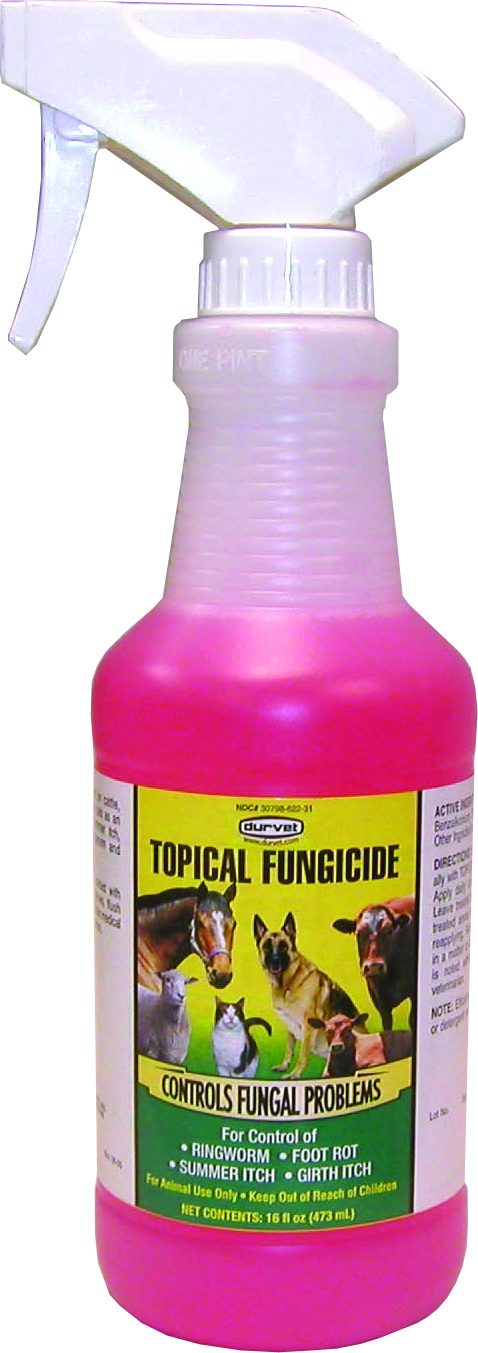 Topical Fungicide with Sprayer pt