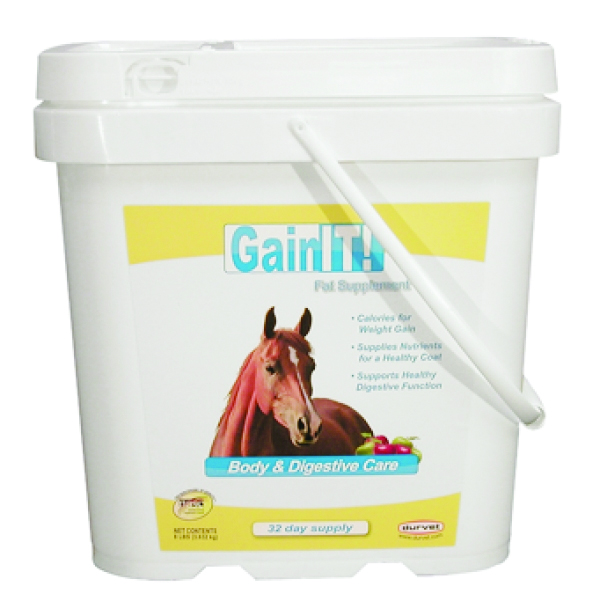 GAIN IT FAT SUPPLEMENT EQUINE