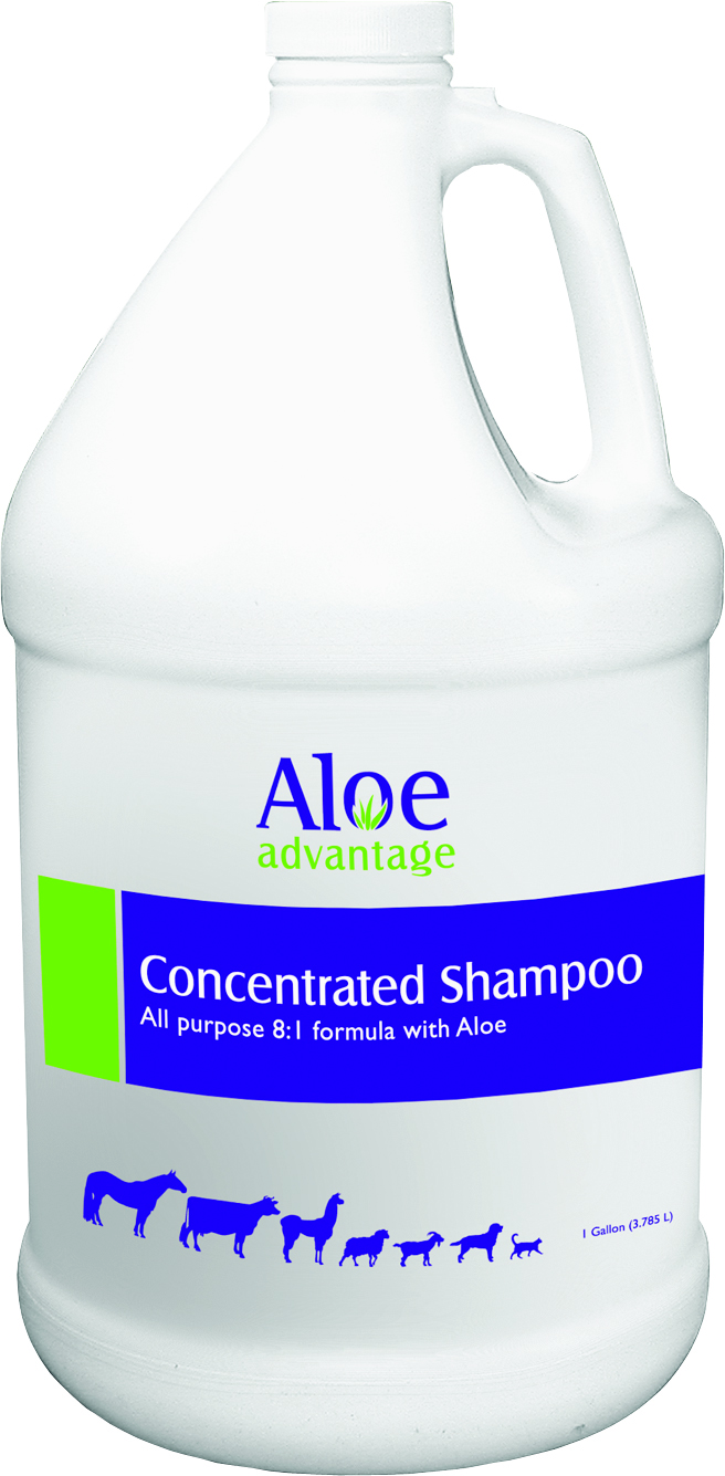 ALOE CONCENTRATED SHAMPOO 10X